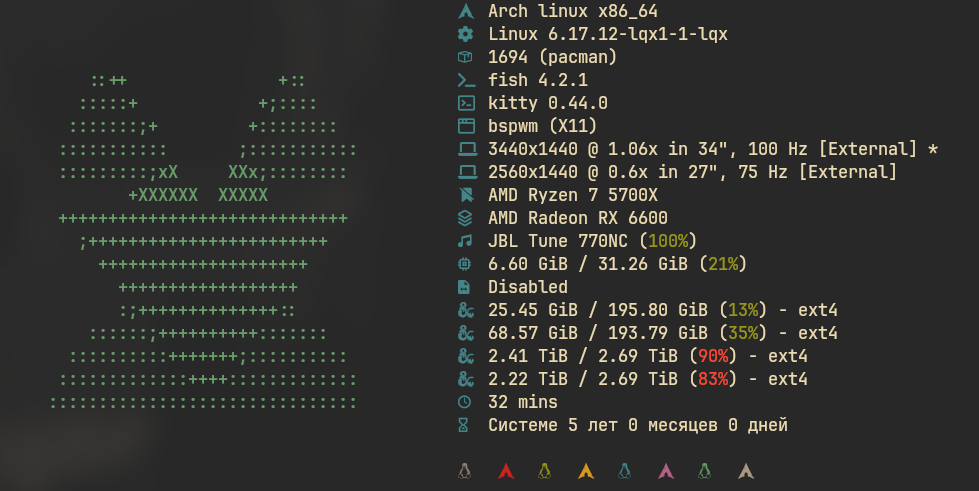 Вывод fastfetch